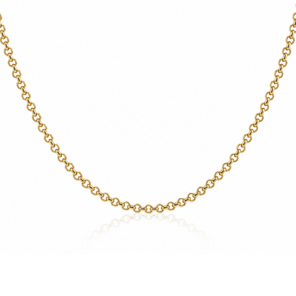 3.00mm Hollow Rolo Belcher Chain