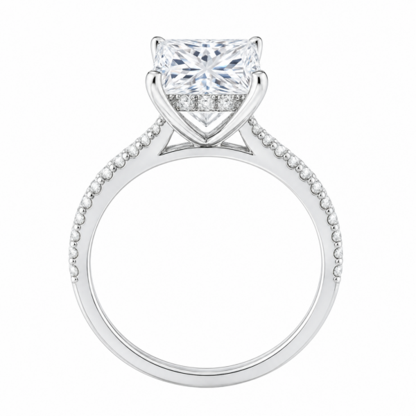 0.50ct Natural Princess Hidden Halo Engagement Ring
