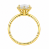 1.00ct Lab-Grown Pear Halo Solitaire Engagement Ring